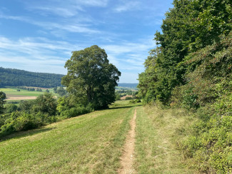 Landwirtschaftlicher Weg in der Natur.